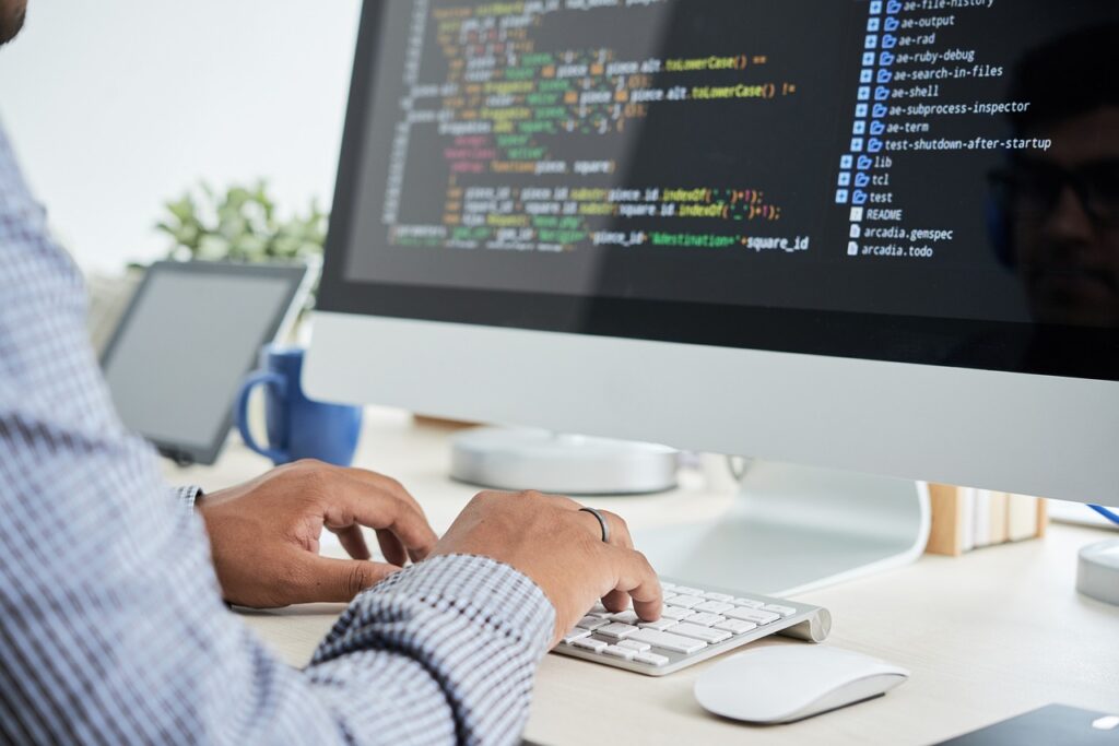 Software aduanal especializado